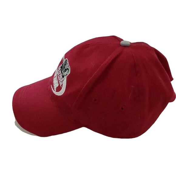 Alabama Crimson Tide Hat SEC Collegiate Game Day SEC Football Champions Big Al - Picture 3 of 5